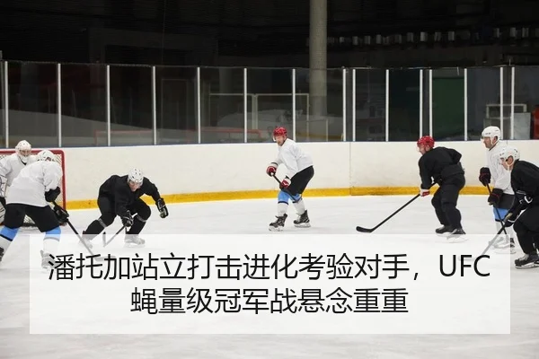 潘托加站立打击进化考验对手，UFC蝇量级冠军战悬念重重